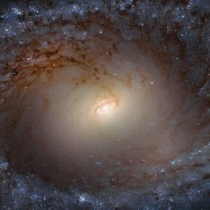 Meet your Posher, Moses